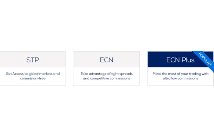 An Overview of Hankotrade’s Trading Fees