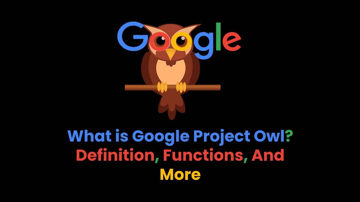 What is Google Project Owl? – Definition, Functions, And More