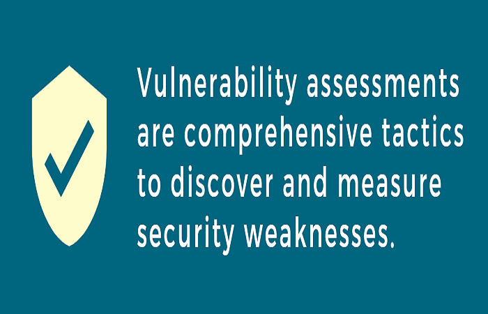 image result for vulnerability assessments